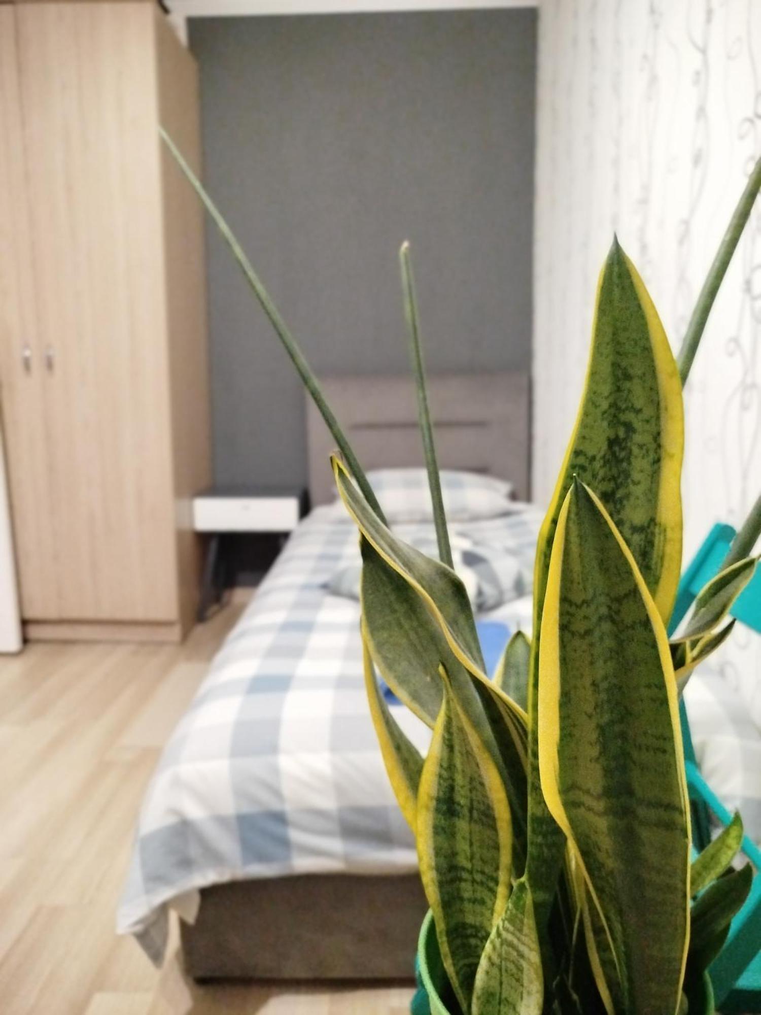 Appartement Elena à Rivne Extérieur photo